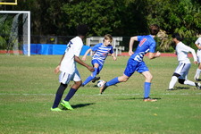 Enlarge photo 48