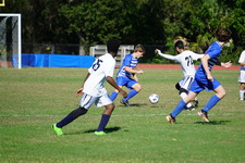 Enlarge photo 49
