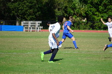 Enlarge photo 52