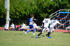 Enlarge photo 53