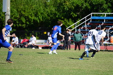 Enlarge photo 54