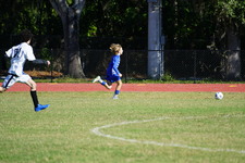 Enlarge photo 59