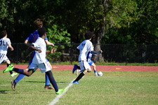 Enlarge photo 60