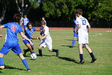 Enlarge photo 73