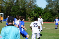 Enlarge photo 81