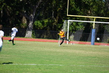 Enlarge photo 83