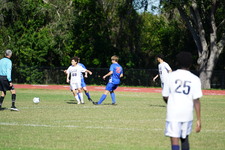 Enlarge photo 86