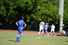 Enlarge photo 91