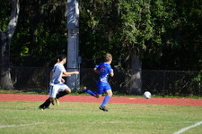 Enlarge photo 93