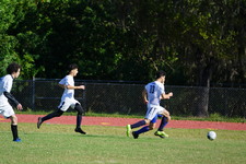 Enlarge photo 97