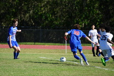 Enlarge photo 105
