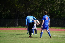 Enlarge photo 107