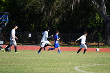 Enlarge photo 116