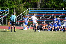 Enlarge photo 119