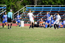 Enlarge photo 120