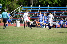 Enlarge photo 121