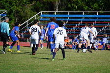 Enlarge photo 124