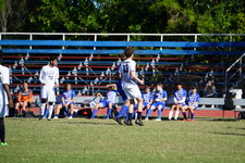 Enlarge photo 126