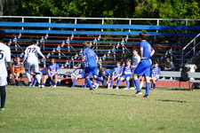 Enlarge photo 131