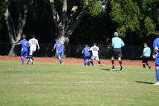Enlarge photo 132