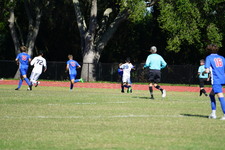 Enlarge photo 133