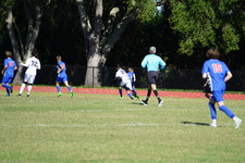 Enlarge photo 135