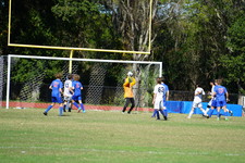 Enlarge photo 136