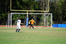 Enlarge photo 141