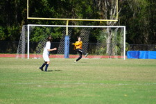 Enlarge photo 144