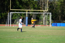 Enlarge photo 147