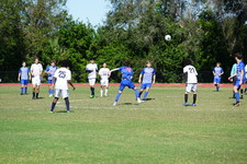 Enlarge photo 148