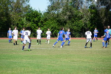 Enlarge photo 149