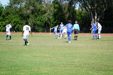 Enlarge photo 151