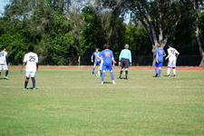 Enlarge photo 153