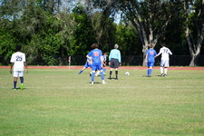Enlarge photo 154