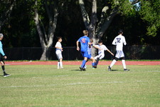 Enlarge photo 155