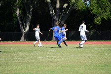 Enlarge photo 156