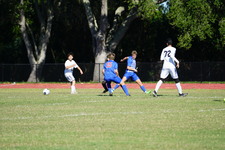 Enlarge photo 157