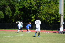 Enlarge photo 167