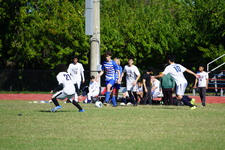 Enlarge photo 170