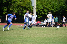 Enlarge photo 173
