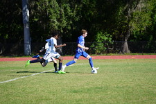 Enlarge photo 180