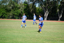 Enlarge photo 186