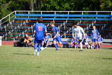 Enlarge photo 196