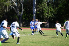 Enlarge photo 223
