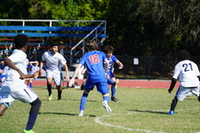 Enlarge photo 229
