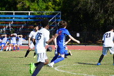 Enlarge photo 231