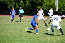 Enlarge photo 232
