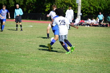 Enlarge photo 233