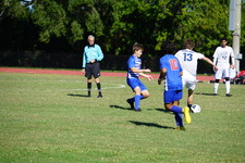 Enlarge photo 234